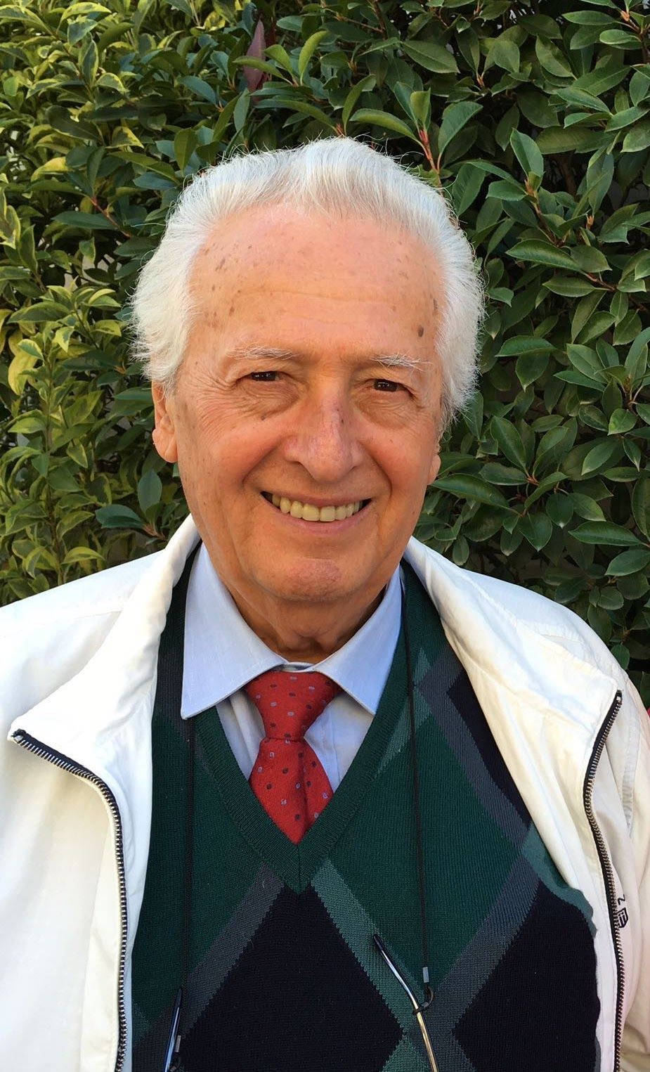 Raffaele Tolomelli