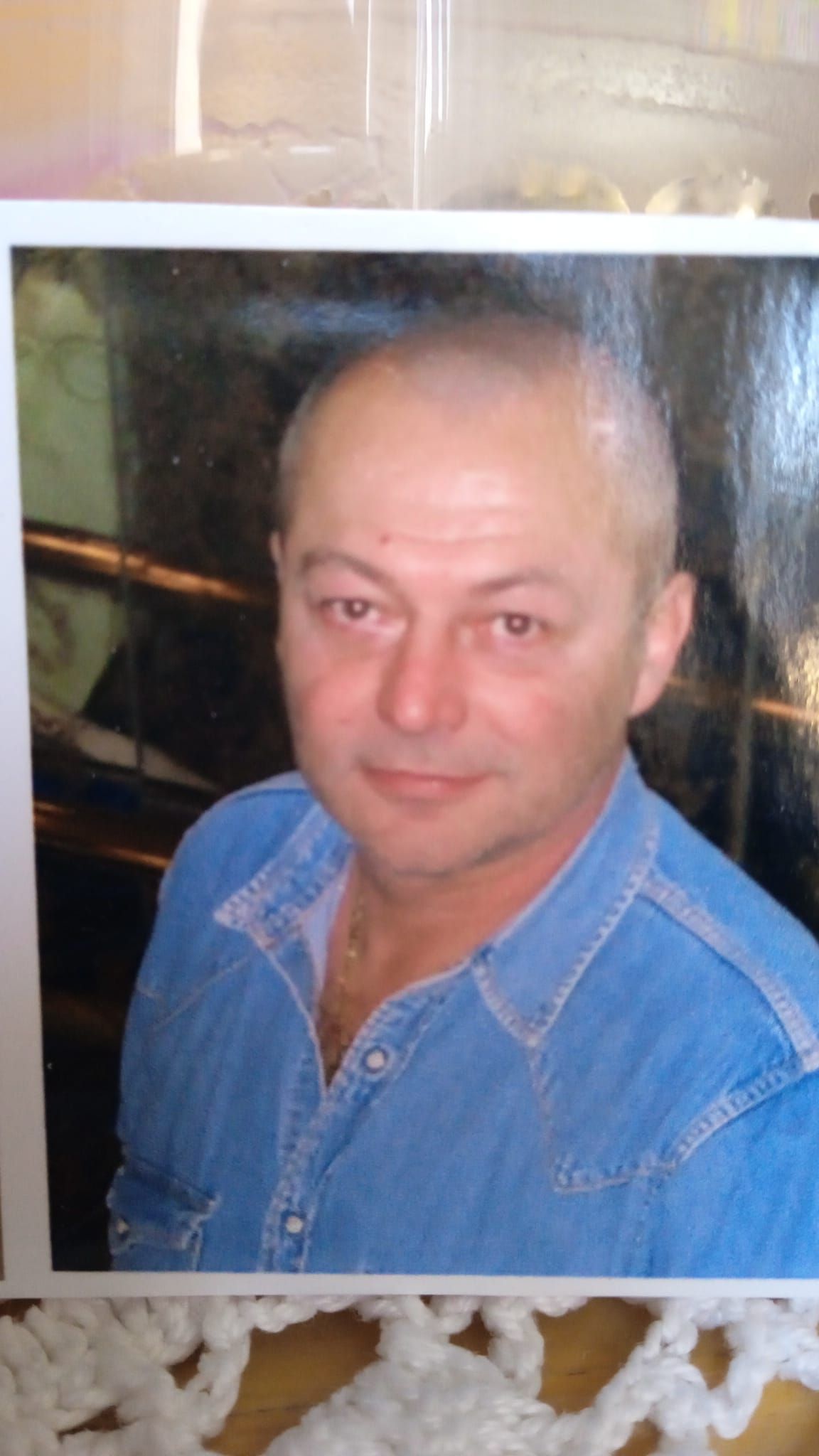 Albo Sansovini 